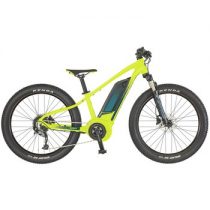 Bicicleta Scott Roxter eRide 24 2019