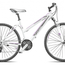 Bicicleta Cross Julia 2019