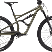 Cannondale Jekyll 29 4 2021