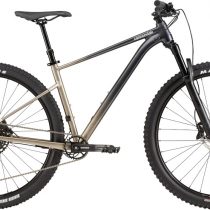 Cannondale Trail SL 1 2021