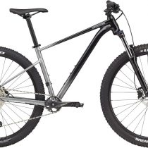 Cannondale Trail SL 4 2021 gri